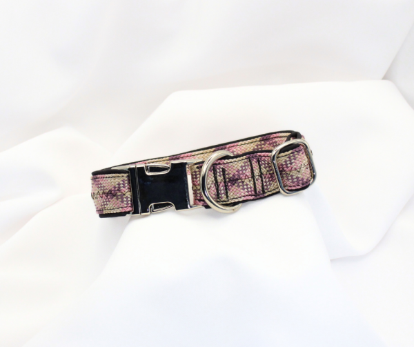 Halsband mit Metallschnalle, 2,5 cm